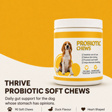 Thrive Daily Probiotic Soft Chews for Dogs — Gut Health, Firm Stools & Sensitive Stomach Support