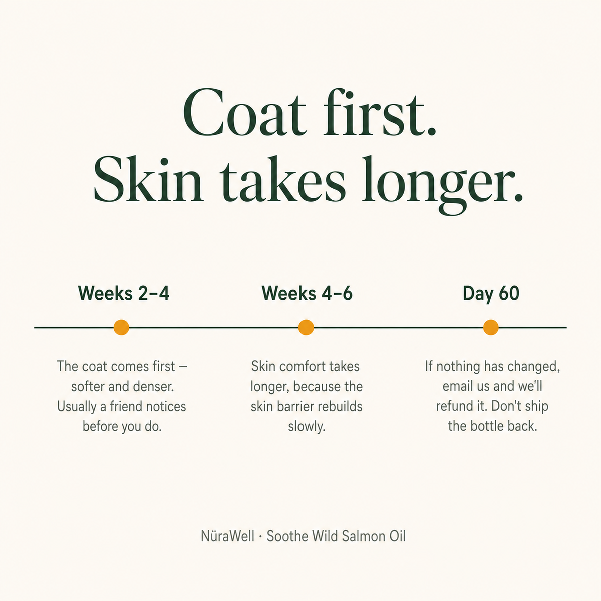 Soothe Wild Salmon Oil for Dogs — Omega-3 Support for Itchy Skin, Dry Coat & Seasonal Discomfort