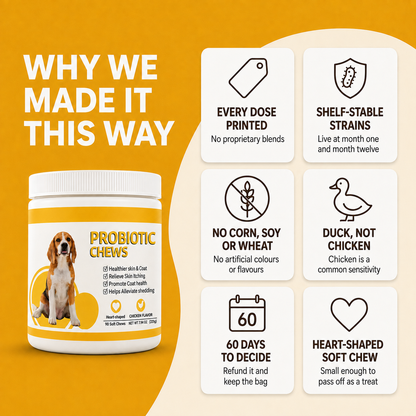 Thrive Daily Probiotic Soft Chews for Dogs — Gut Health, Firm Stools & Sensitive Stomach Support