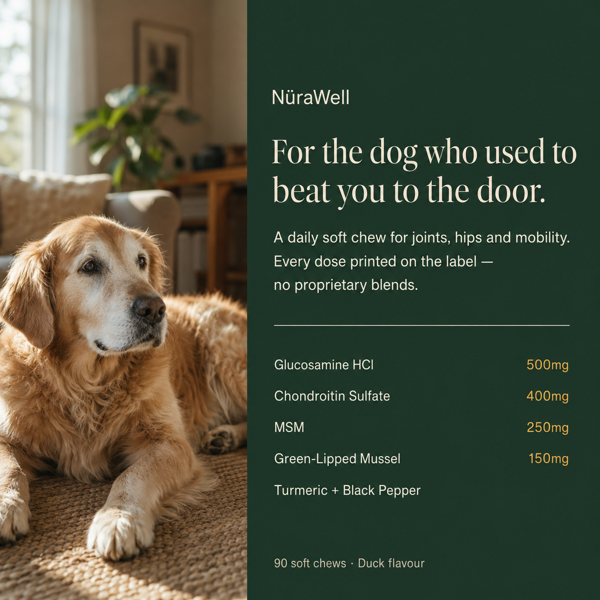 Stride Hip & Joint Mobility Chews for Dogs — Glucosamine & Chondroitin Soft Chews