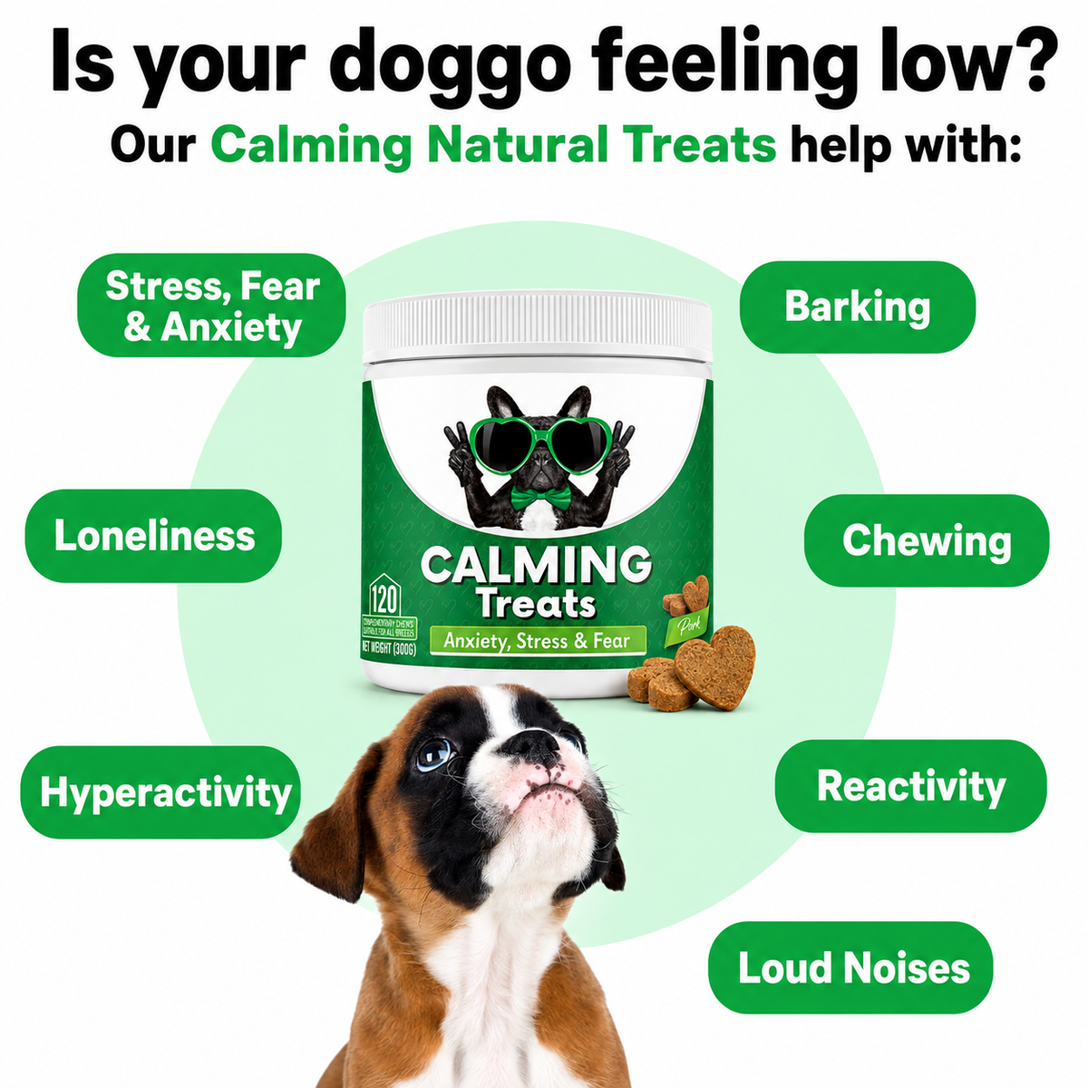 Settle Calming Soft Chews for Dogs — L-Theanine, Chamomile & Tryptophan for Storms, Travel & Time Alone