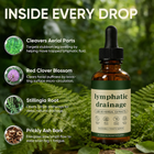 Lymphatic Drainage Drops
