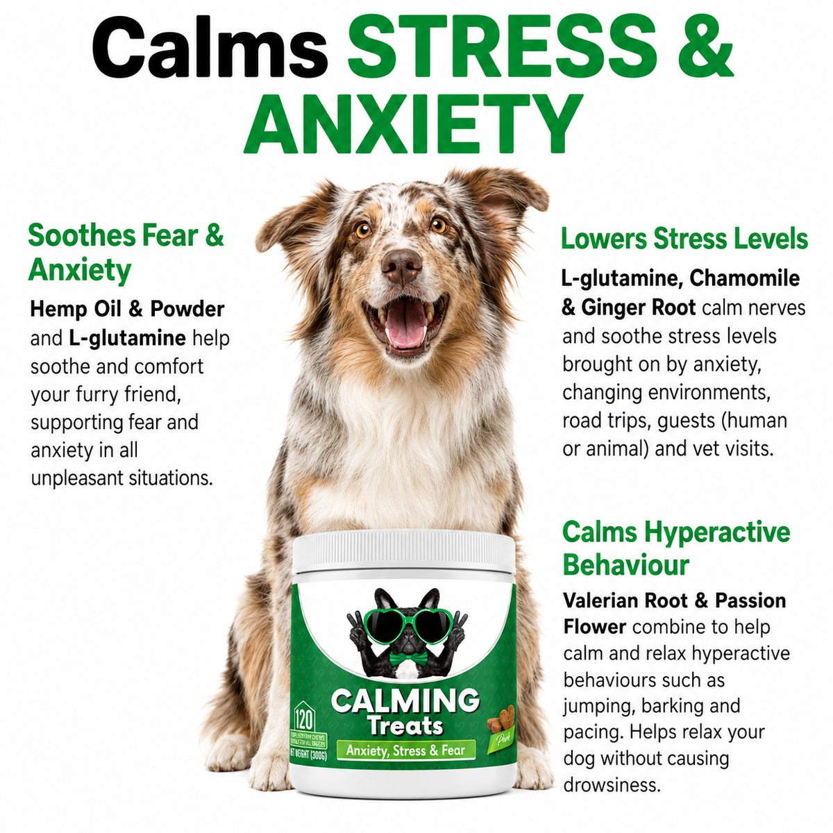 Settle Calming Soft Chews for Dogs — L-Theanine, Chamomile & Tryptophan for Storms, Travel & Time Alone