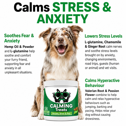 Settle Calming Soft Chews for Dogs — L-Theanine, Chamomile & Tryptophan for Storms, Travel & Time Alone