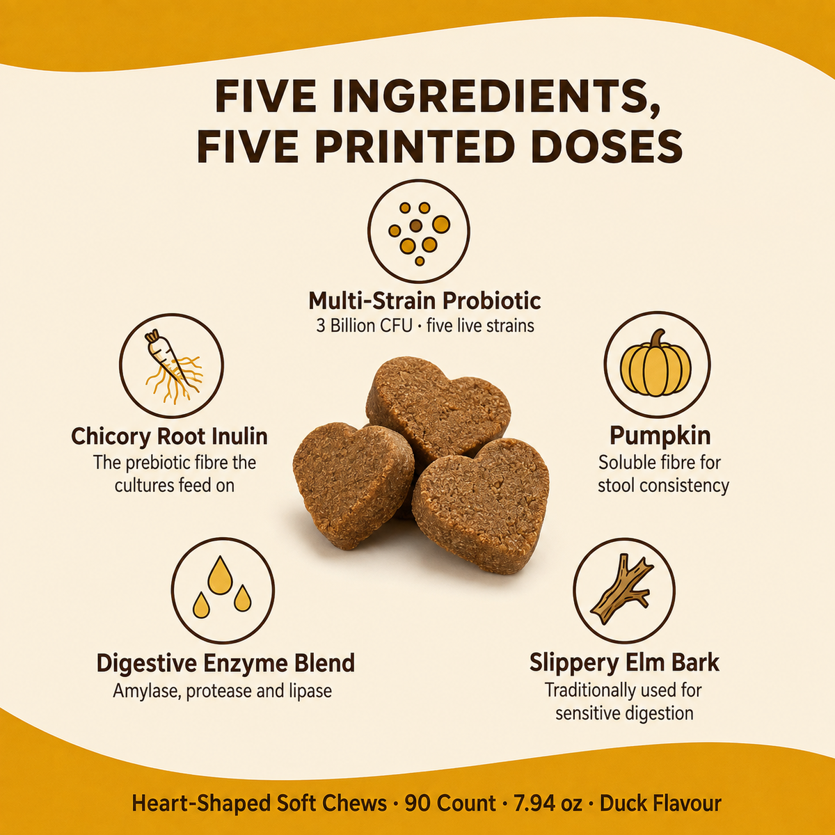 Thrive Daily Probiotic Soft Chews for Dogs — Gut Health, Firm Stools & Sensitive Stomach Support